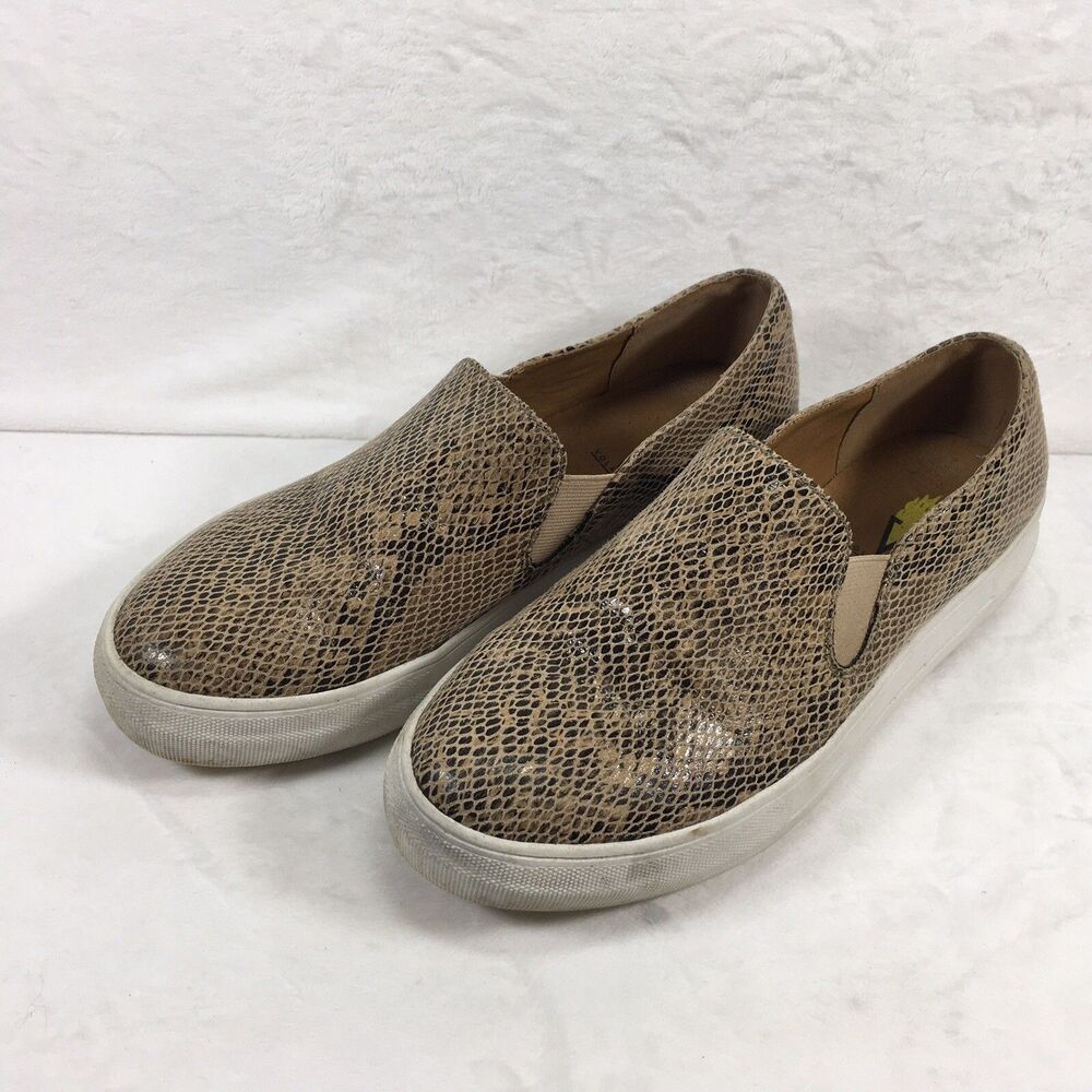 VOLATILE Women's Bolzano Sneaker Brown Tan - Size 9 M Snake Skin Pattern - Picture 2 of 9